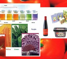 健康にかかせない野菜パワー「抗酸化」研究を学ぶ！　摂南大 農学セミナーレポート