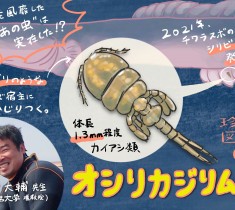 珍獣図鑑（19）：魚のオシリにカジリついた状態で発見！ 寄生性甲殻類のニューヒーロー「...