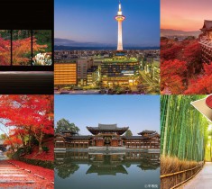 京都アカデミアウィークで学ぶ、平等院鳳凰堂「1000年の時空を超える、極楽浄土への憧れ」