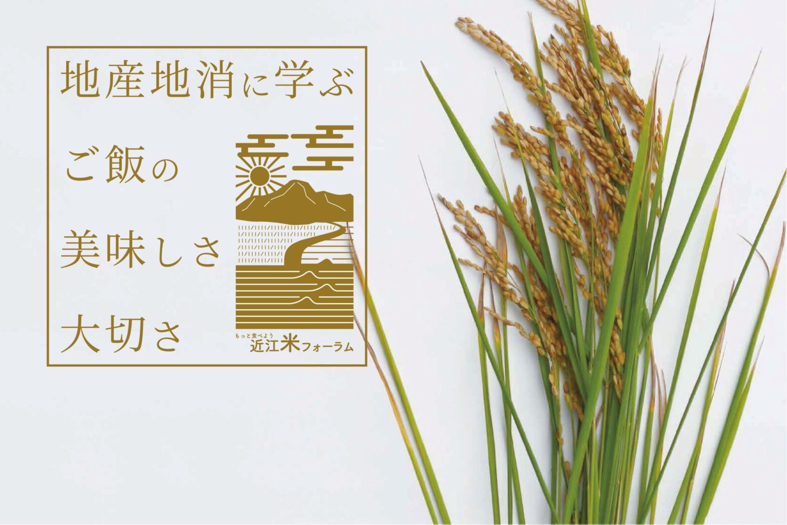 近江米のおいしさ、大切さを再発見　「もっと食べよう「近江米」！フォーラム」開催レポート