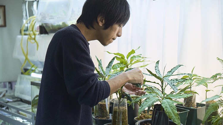 【クレイジージャーニー出演】植物探検家・長谷圭祐を魅了する「ジメジメ系植物」の世界