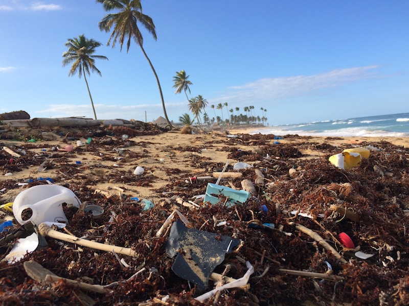 マイストローで海洋プラスチックは減る？ 容器包装プラ削減への発展がカギ