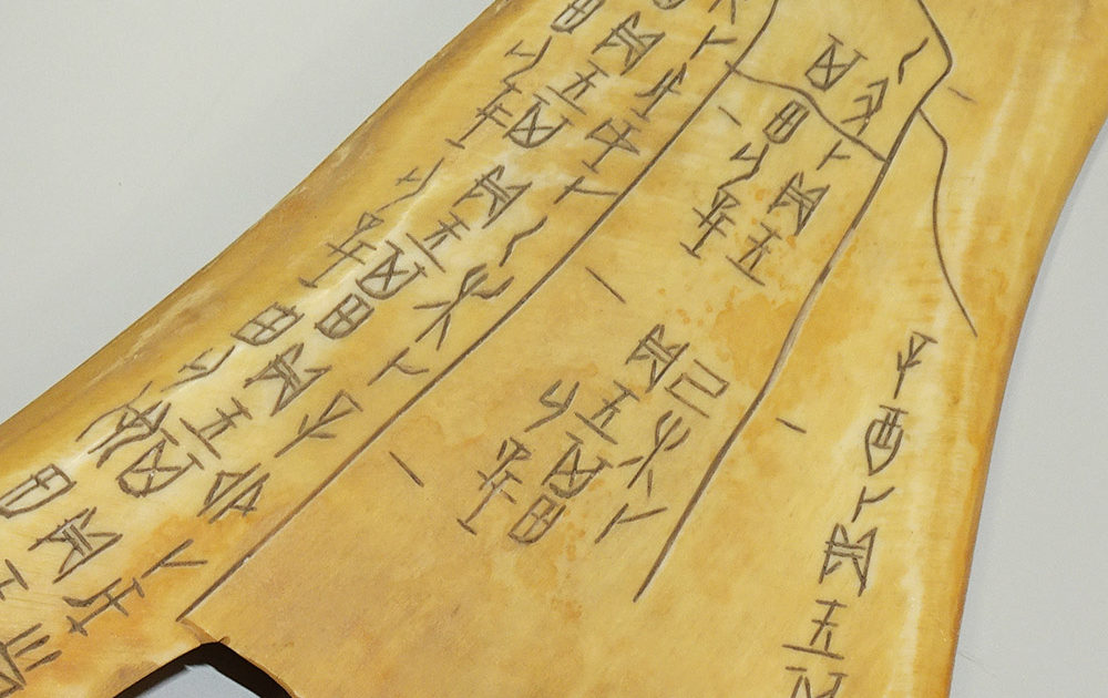 漢字の成り立ちを知れば、書ける・使える・記憶に残る　文字学の巨人が教える漢字のヒミツ
