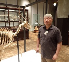 東京駅直近の博物館「インターメディアテク」で骨格標本作りについて聞いてきた