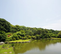 東京のオアシス「東京大学大学院理学系研究科附属植物園（小石川植物園）」で森林浴を♪