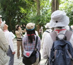 身近な里山で植物の観察講座　阪大植物探検隊