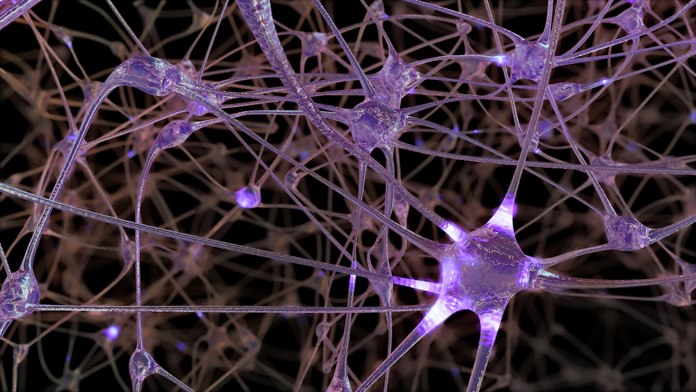 医学博士に聞く、記憶力・学習力アップに影響する脳機能「シナプス可塑性」とは？