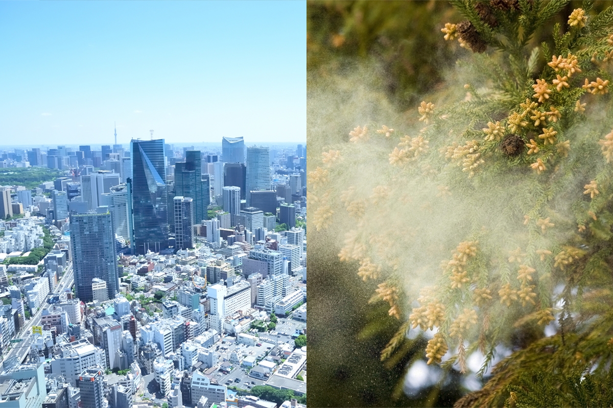 都会育ち、キレイ好きは花粉症になりやすい！？ アレルギーと花粉症の気になるハナシ