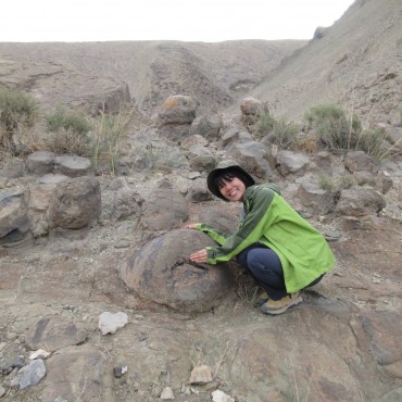 羽毛や消化管まで残る化石の謎を探るため“化石化”を研究する名古屋大の片田さんに聞いてみた