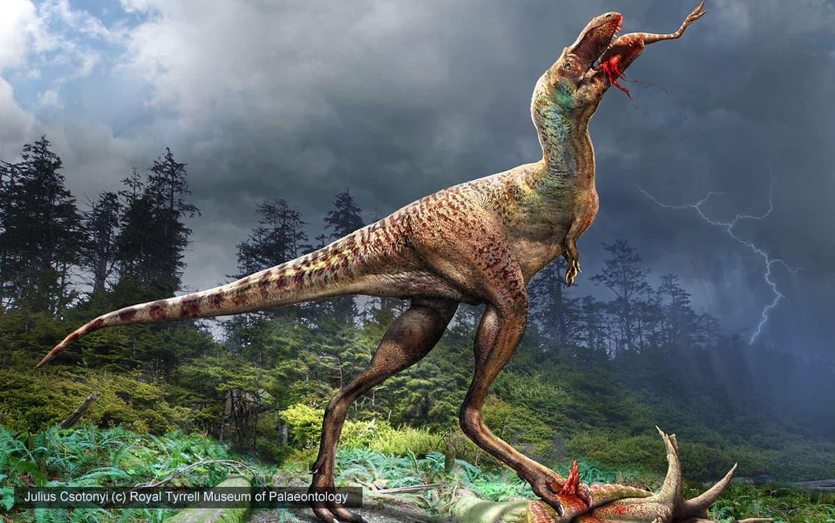 食べた獲物が胃に残るティラノサウルス科の全身骨格を世界で初めて発見！