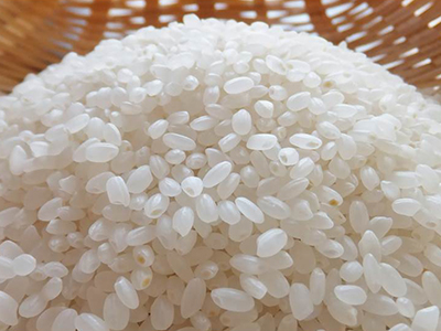 Research5「一粒のお米から中国文明の源流が見えてくる！」