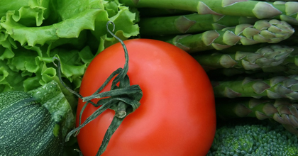 期待が高まる、トマト、アスパラガスの画期的な新栽培法