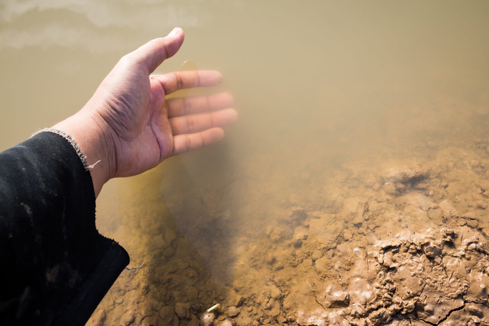 ごく身近にある意外な物質を利用して、水質環境浄化に挑む