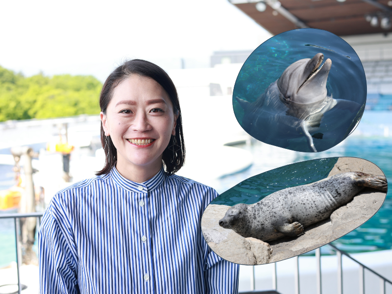 音からひも解くイルカの世界～生き物がいる豊かな海を未来にも～
