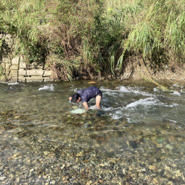 海と川を行き来し、海由来の物質を川へ届ける小さな魚たちについて京大理学研究科の田中良輔...