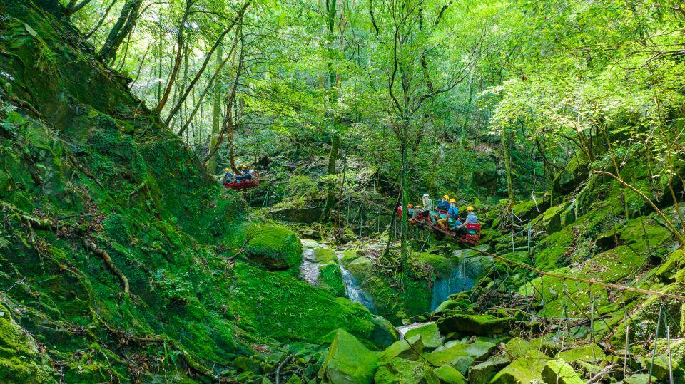 【和歌山研究林100周年】100年の森が語る、学びと絆の物語