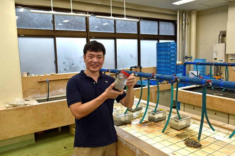 未知にあふれる海の世界に魅せられヤドカリと共生する新種のイソギンチャクを発見！