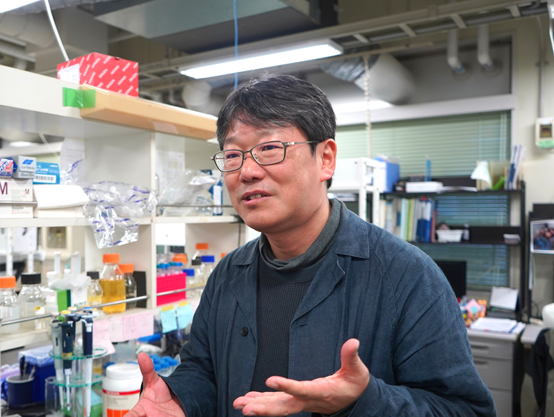 ゼニゴケが人類を救う？－食用や創薬の可能性