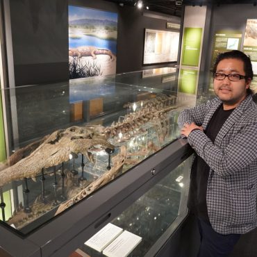 マチカネワニは古代人の夢を見るか？ 60年越しに天然記念物指定された化石のスゴさについ...