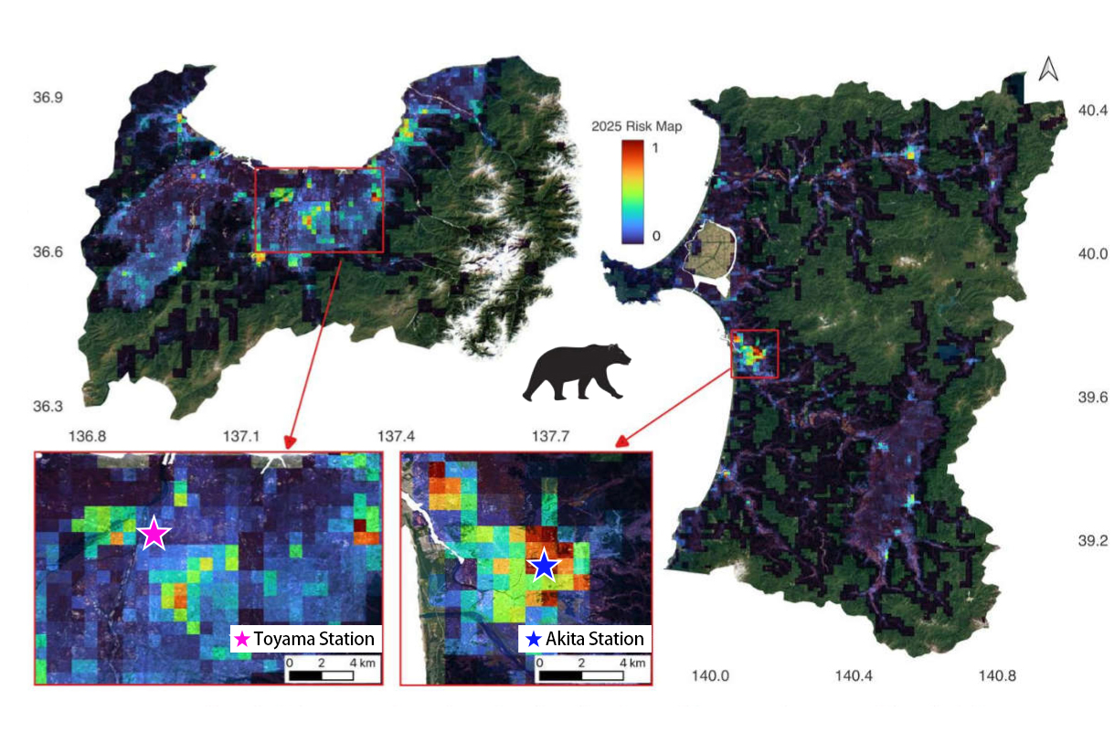 リモートセンシングで予測する「クマと人間の遭遇リスク」