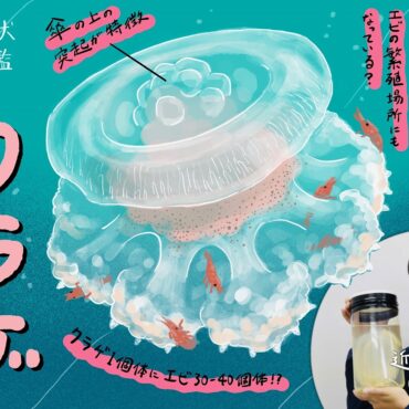 珍獣図鑑（29）：シェルター兼お菓子の家！？いいように利用され我々の食卓にも貢献してい...