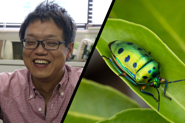 第十回授業紹介特別編　進化のロジックから昆虫の不思議を解明！　鈴木准教授にぶっちゃけイ...